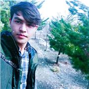 Software engineer, Travel Agent, positive, tame worker, respactfuly